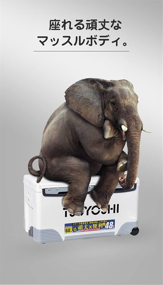 クーラーボックス　48L 518aHRT206L._UF350,350_QL50_.jpg